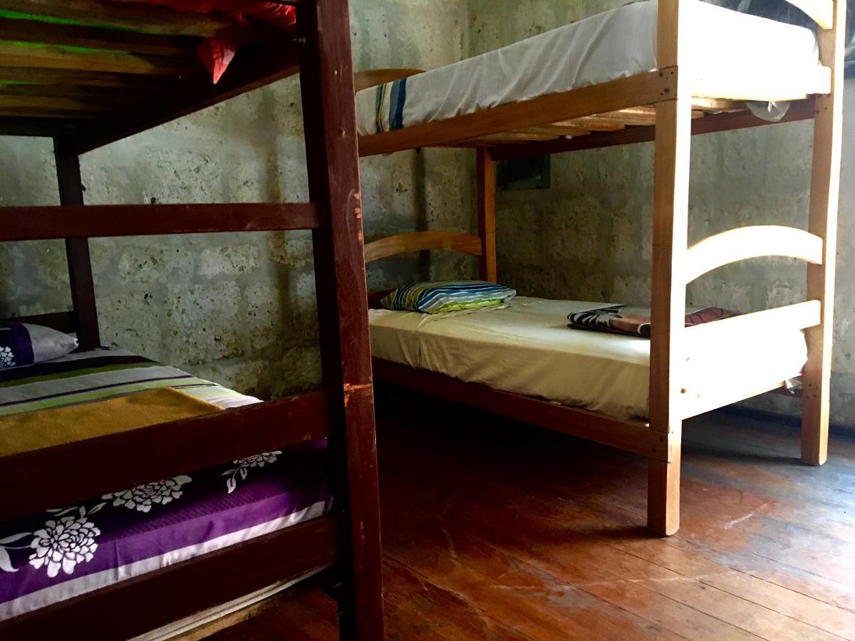 Lion Aqp Hostel Yanahuara Extérieur photo