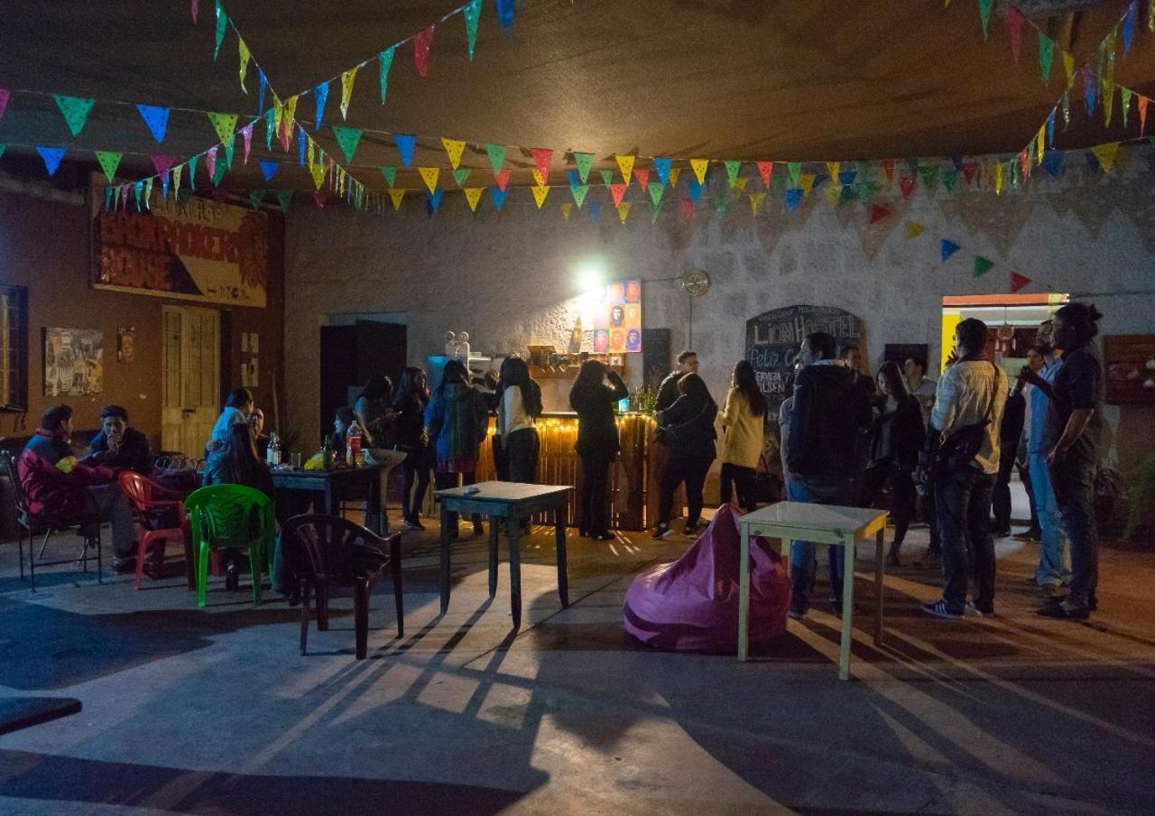 Lion Aqp Hostel Yanahuara Extérieur photo